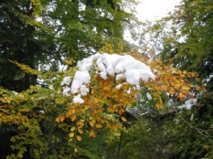 1ere_neige